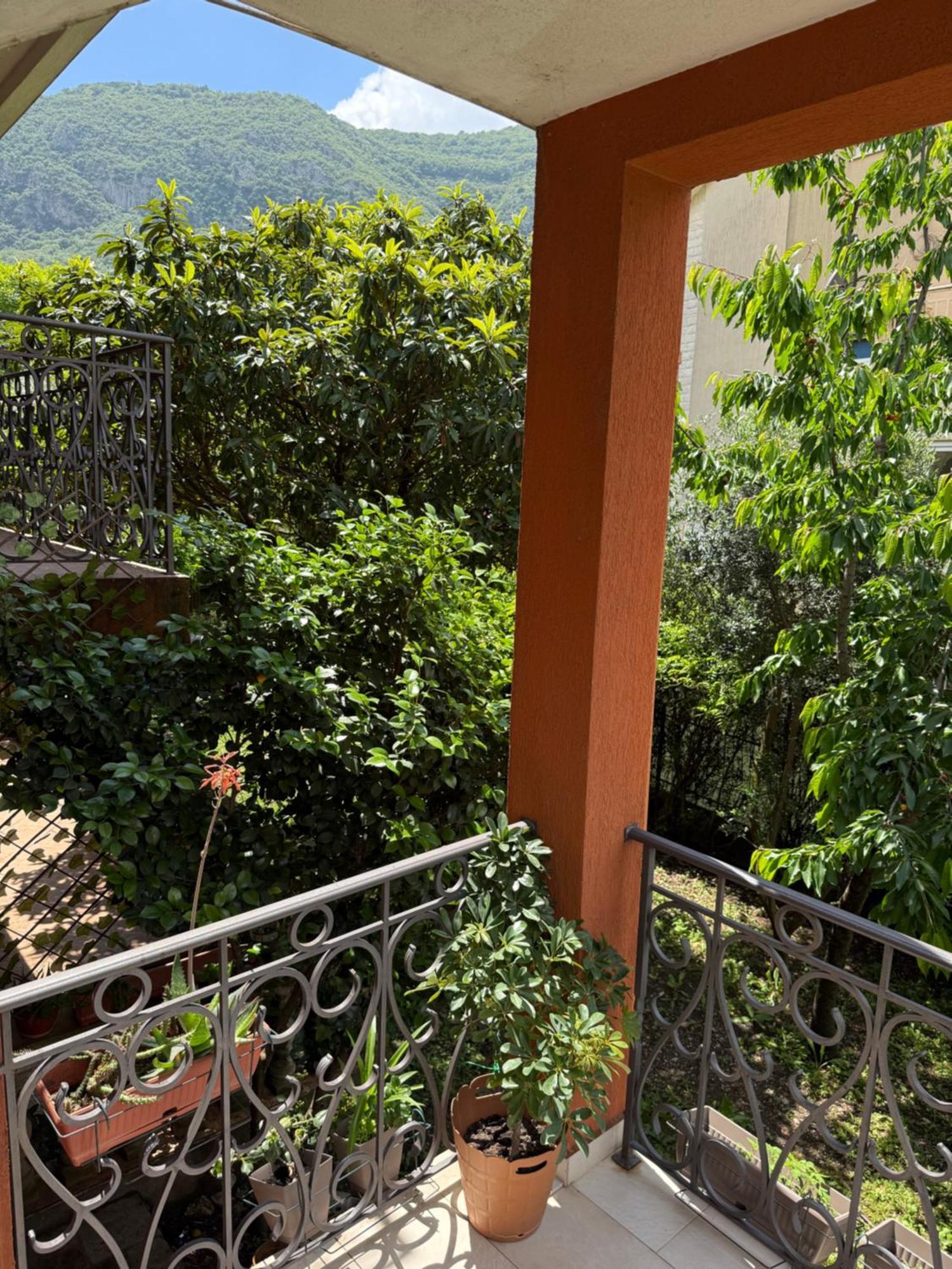 Apartment Atina Kotor Exterior foto